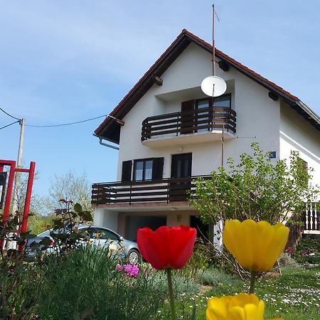 Apartment Ankica Selište Drežničko Exterior foto