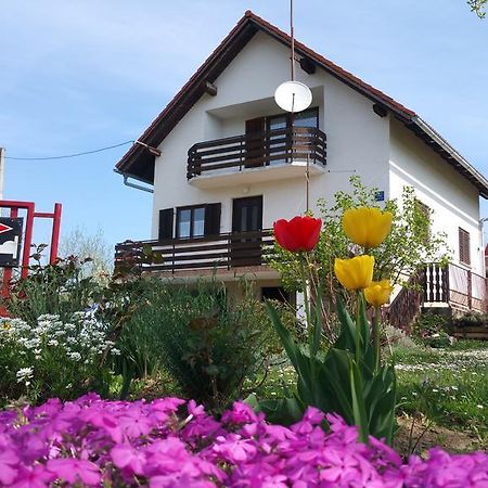 Apartment Ankica Selište Drežničko Exterior foto