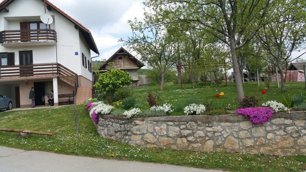 Apartment Ankica Selište Drežničko Exterior foto