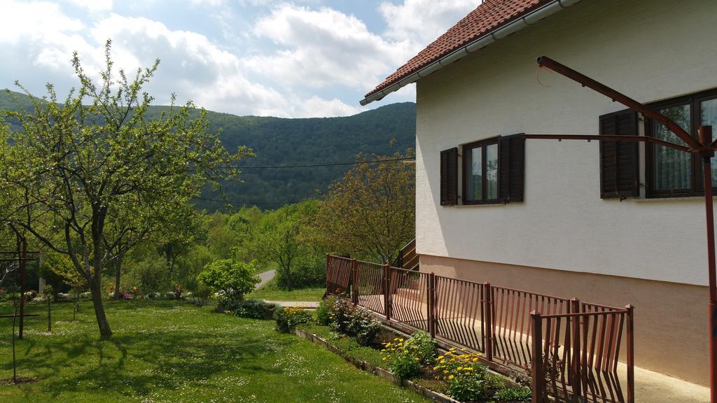 Apartment Ankica Selište Drežničko Exterior foto