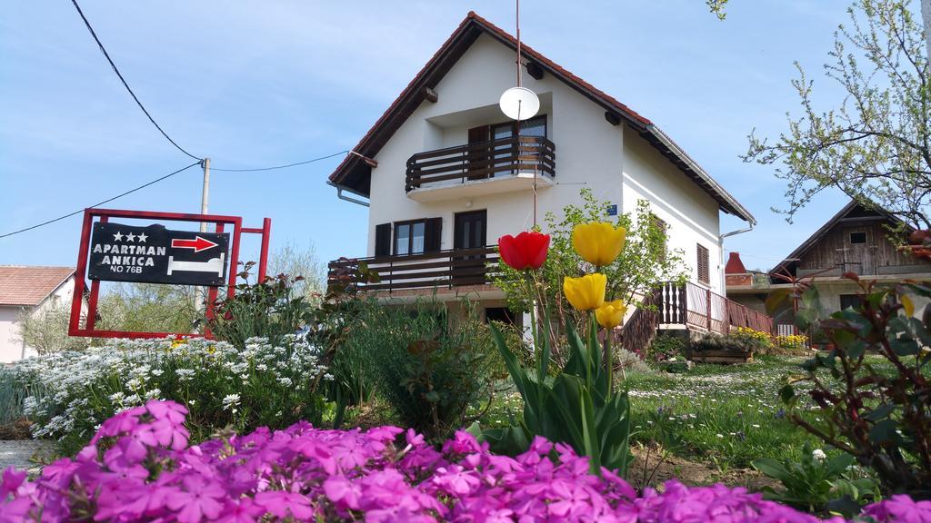 Apartment Ankica Selište Drežničko Exterior foto