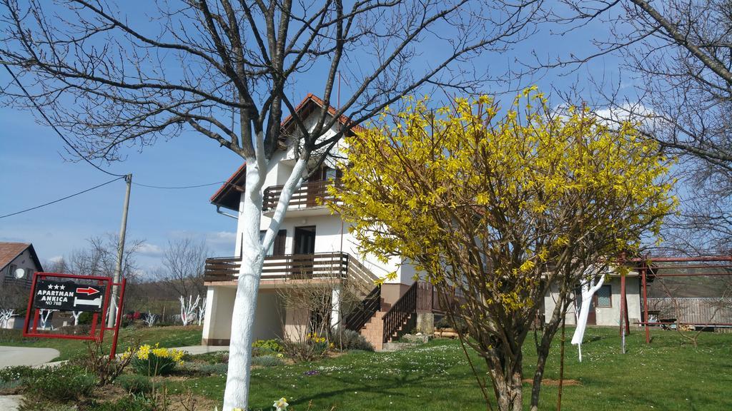 Apartment Ankica Selište Drežničko Exterior foto