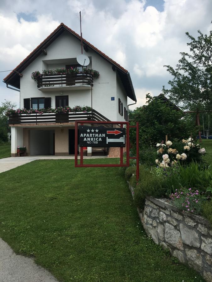 Apartment Ankica Selište Drežničko Exterior foto