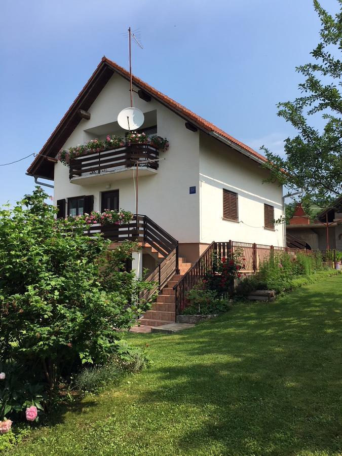 Apartment Ankica Selište Drežničko Exterior foto