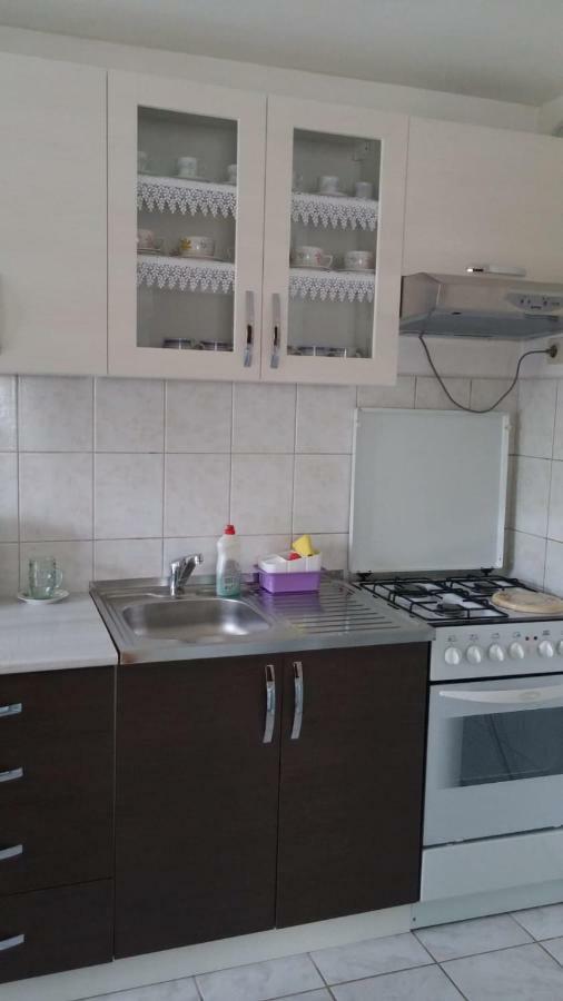 Apartment Ankica Selište Drežničko Exterior foto