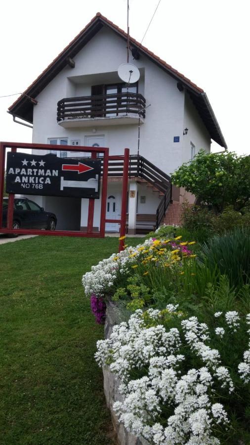 Apartment Ankica Selište Drežničko Exterior foto