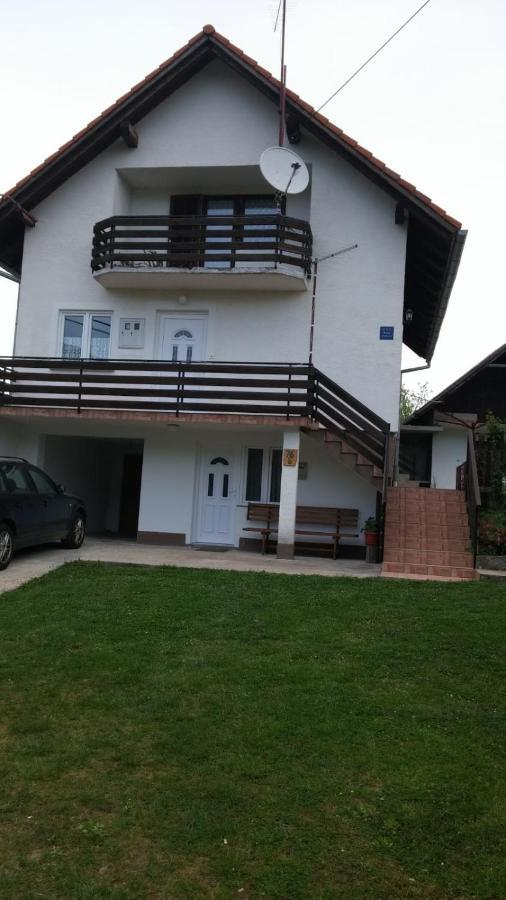 Apartment Ankica Selište Drežničko Exterior foto